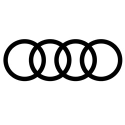 Siliconen slangen Audi