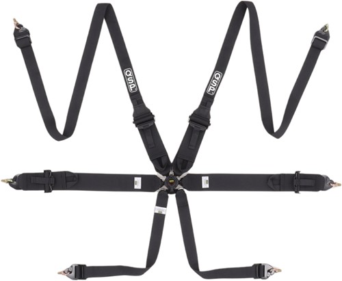 QSP 6-point safety harness FHR Touring FIA - Black